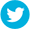 Twitter Icon
